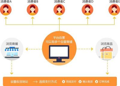 B2B2C商城系统与多用户商城系统的深度解析
